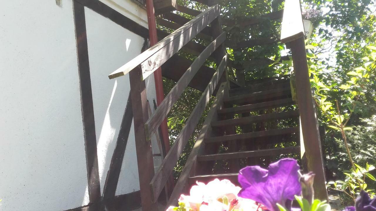 Agroturystyka Pod Debami W Klukach Smołdzino Exterior foto